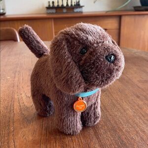 American Girl Dog - Chocolate Chip!